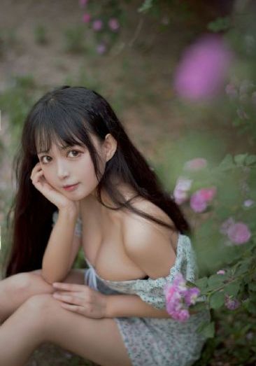 斗破苍穹在线观看免费完整版_1080免费在线观看