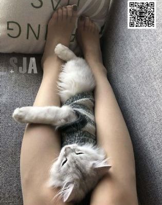 南瓜影院_BD韩语影视在线观看