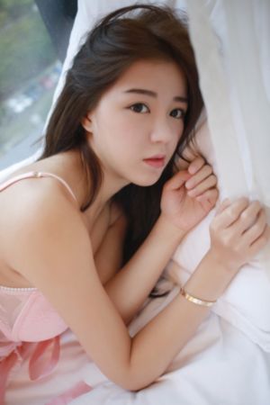 变形金刚2_蓝光高清在线观看