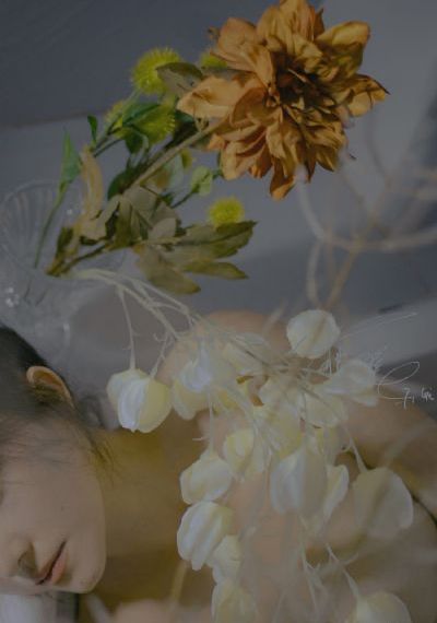二虎拿下温如玉是哪一集_1080P在线观看视频