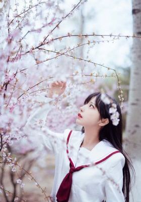 念无双电视剧_4399看片BD国语版完整版